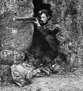01433 Prints: A sniper taking aim from a natural hideout in the hollow trunk of a tree during rifle