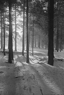 Snow scenes at Claygate. January 1940 L151