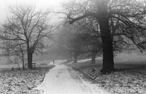 A snowy scene in Regents Park London. 21st January 1942