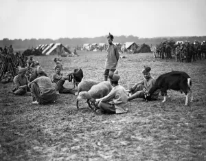Tents Prints: Soldiers from the 3rd Lahore Indian Division seen here at their camp in Orleans