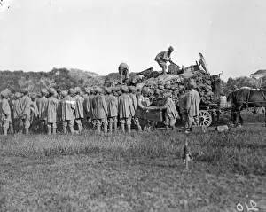 Turban Prints: Soldiers of the 3rd (Lahore) Indian Division seen here unloading transport wagons