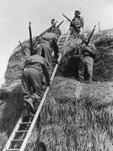 Rifles Prints: Soldiers of the British Army climbing a haystack during an anti invasion exercise in