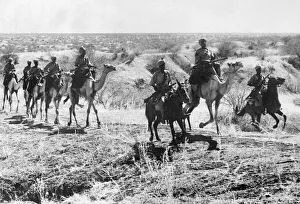 Allies Prints: Soldiers from The Sudan Defence Force attached to Indian Infantry Brigade