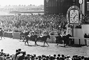 Flat Prints: Song of the Sea ridden by Willie Carson crossing the line to win the 1971 Andy Capp