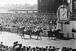 Images Dated 19th June 1971: Song of the Sea ridden by Willie Carson crossing the line to win the 1971 Andy Capp