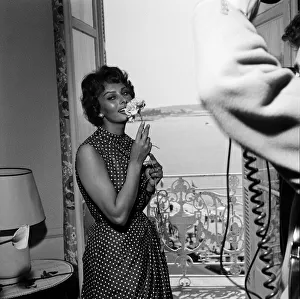 Sophia Loren at the Cannes Film Festival. May 1958