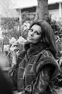 01139 Prints: Sophia Loren pictured in London, promoting her new perfume Sophia