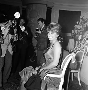 01125 Prints: Sophia Loren, who will be starring with Peter Sellers in the Dimitri de Grunwald