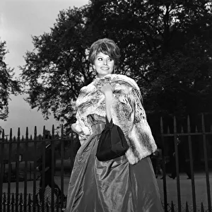 01125 Prints: Sophia Loren, who will be starring with Peter Sellers in the Dimitri de Grunwald
