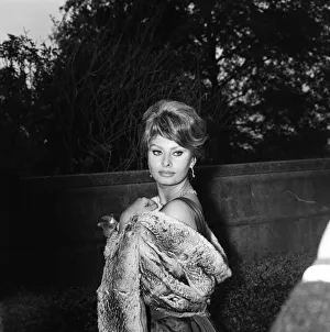 01125 Prints: Sophia Loren, who will be starring with Peter Sellers in the Dimitri de Grunwald