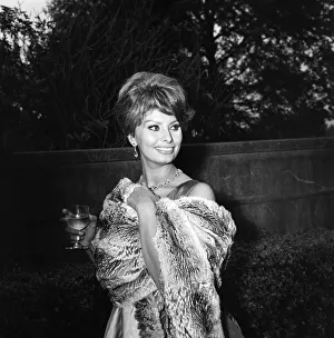 01125 Prints: Sophia Loren, who will be starring with Peter Sellers in the Dimitri de Grunwald