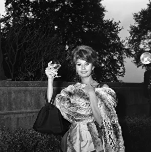 01125 Prints: Sophia Loren, who will be starring with Peter Sellers in the Dimitri de Grunwald