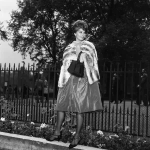 01125 Prints: Sophia Loren, who will be starring with Peter Sellers in the Dimitri de Grunwald