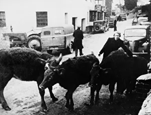 South Hams Evacuation. On the November the 4th Devon County Council were informed