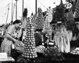 Vegetables Prints: Southport flower show: Display of vegetables by Carters tested Seeds, Raynes Park, London
