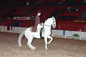 Images Dated 11th October 1989: The Spanish Riding School rehearsing for their opening night at Wembley