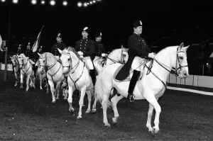 The Spanish Riding School of Vienna rehearsing their classical art of riding which they