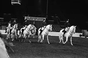 The Spanish Riding School of Vienna rehearsing their classical art of riding which they