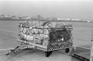 01273 Prints: Speedbird 9401, the Daily Mirror Mercy Flight is loaded up with 30 tonnes of food