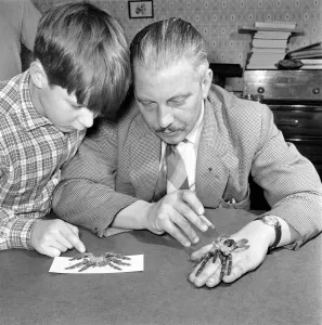Spider collector Mr. S. Ormorod seen here showing the children two of his collection