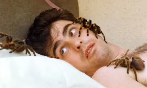 Spider keeper Barry Younger takes time out with some of his spiders in September 1993