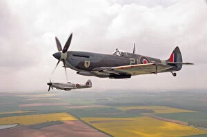 Images Dated 30th April 1998: A Spitfire Mk IXe (ML417) flying in formation with a Mk XIV Spitfire of the Fighter