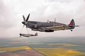 Clouds Prints: A Spitfire Mk IXe (ML417) flying in formation with a Mk XIV Spitfire of the Fighter
