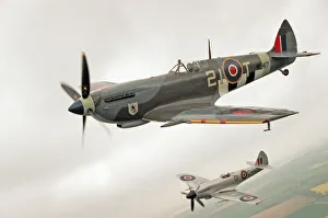Formation Prints: A Spitfire Mk IXe (ML417) flying in formation with a Mk XIV Spitfire of the Fighter