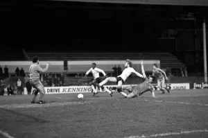Sport: Football: F. A Cup: 3rd Round Replay: Tottenham Hotspur (3) v