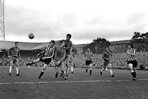 Sport: Football: Newcastle United v. Chelsea. Wynn Davies, Ncle