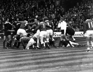 Sport - Rugby - Wales v New Zealand - 11th November 1978 - The referee blows his whistle