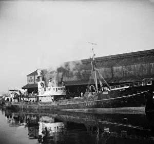 Docks Prints: St Andrews Steam Fishing Co Ltd trawler seen here tied up at St Andrews Dock, Hull