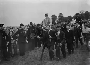 Racehorse Prints: St Leger - Ridge Wood riden by Jockey Michael Beary is led into the winners enclosure