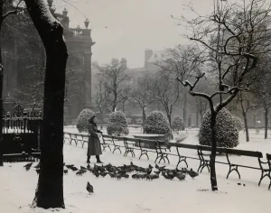 Pigeons Prints: St Philips Cathedral, Birmingham 23rd December 1955