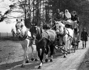 Country Prints: Stagecoach service to stonehenge - see handout Tourists to stonehenge this summer will be