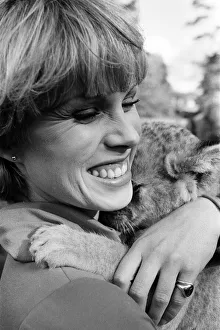 Lion Prints: Stars of the new TV series The Avengers, Joanna Lumley with Sheba the lion