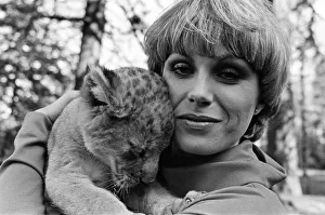 Stars of the new TV series The Avengers, Joanna Lumley with Sheba the lion
