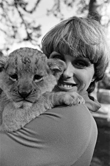 Stars of the new TV series The Avengers, Joanna Lumley with Sheba the lion
