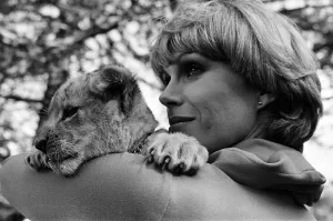 Stars of the new TV series The Avengers, Joanna Lumley with Sheba the lion