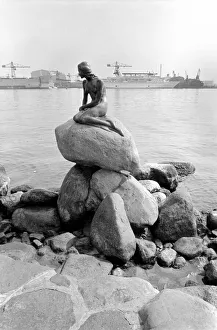 Denmark Prints: The statue of the Little Mermaid guards the entrance to the port of Copenhagen May