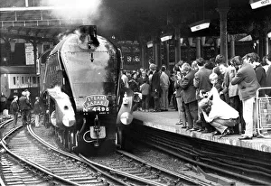 00337 Prints: Steam engine No. 4498 the Sir Nigel Gresley at Newcastle Station on 12th June 1972