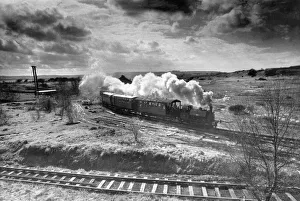 Rural Scene Prints: A steam train making its way through the countryside on Tanfield Railway on 3rd April