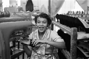 01289 Prints: Stitching a upper of a shoe at the H Solomons shoe factory in Tottenham. 30th July 1956