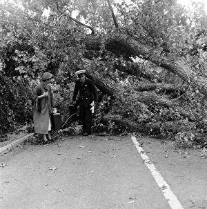 Sussex Prints: Storm damage near the south coast on the main road from London a mile past Pullborough