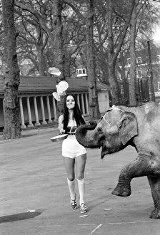 Strange tales of London. Beauty Queens (who will be in the pancake race on Tuesday