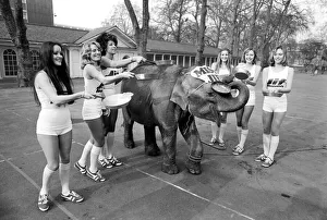 Strange tales of London. Beauty Queens (who will be in the pancake race on Tuesday