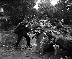 Storm Prints: The strong arm of the law is on the cross-cut saw helping to clear a road in Clapham