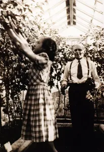 Bill Struth, Rangers manager in the greenhouse in which he used to grow tomatoes at Ibrox