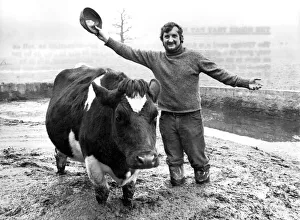 Stuart Smith with Daisy, the Friesian cow whose efforts will be keeping a Royal