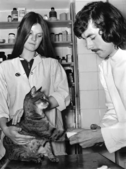Veterinarian Prints: Student veterinary nurse Caroline Smith, 16, who is under training with veterinary